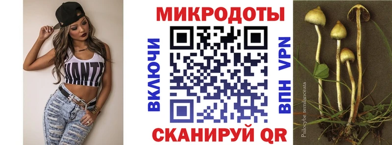мориарти телеграм  Данилов  Псилоцибиновые грибы мухоморы 